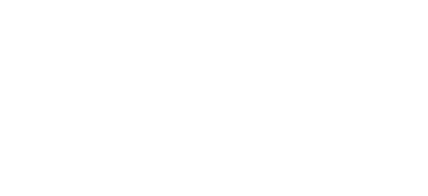 NSW Government Public Works Advisory